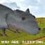 rat avatar