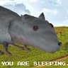 rat avatar