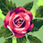 Unknown user avatar