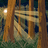 Unknown user avatar